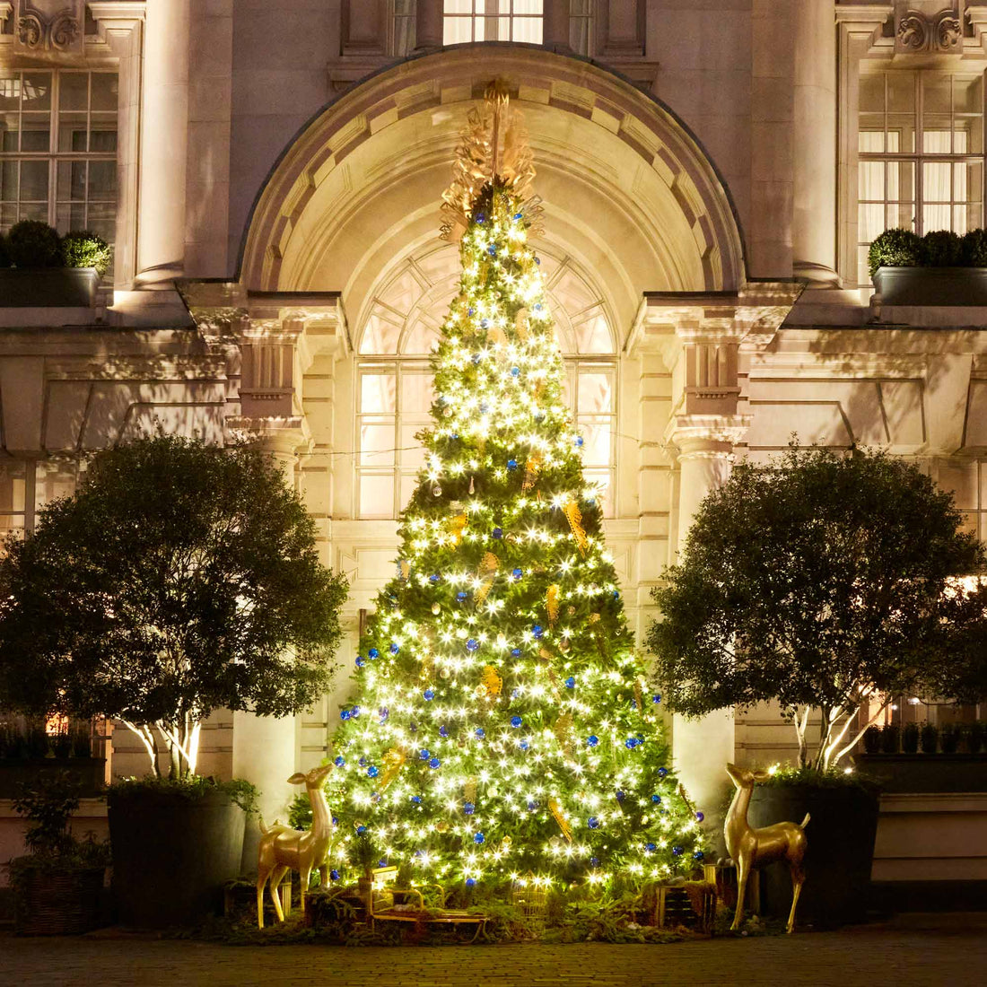 A Garrard Christmas with Rosewood London