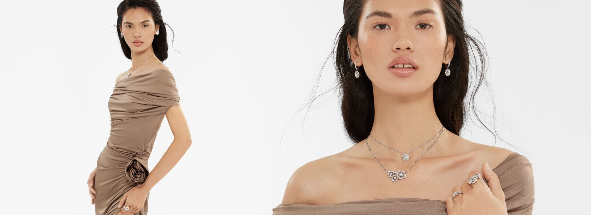 The Tudor Rose Collection