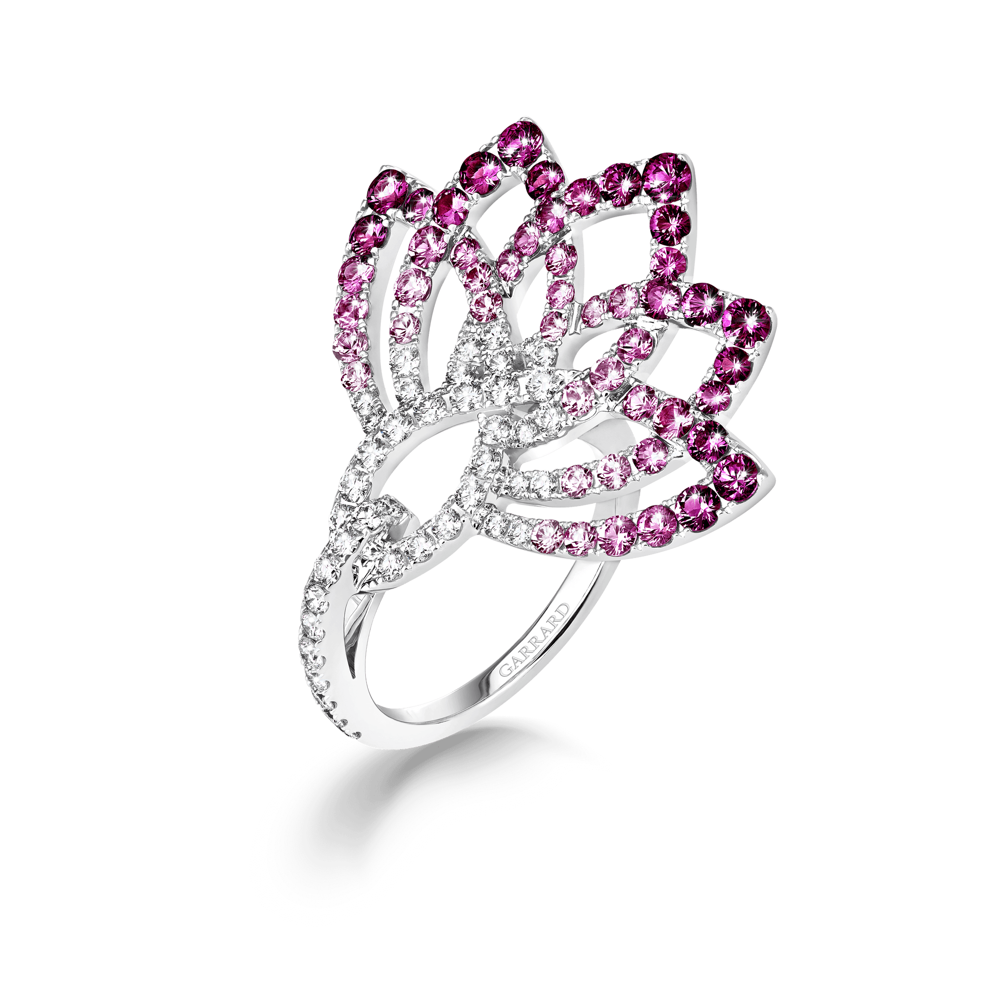 Garrard Lotus Jewellery Collection Lotus Flower Pink Sapphire and and Diamond Ring in 18K White Gold, 2019333, Hero